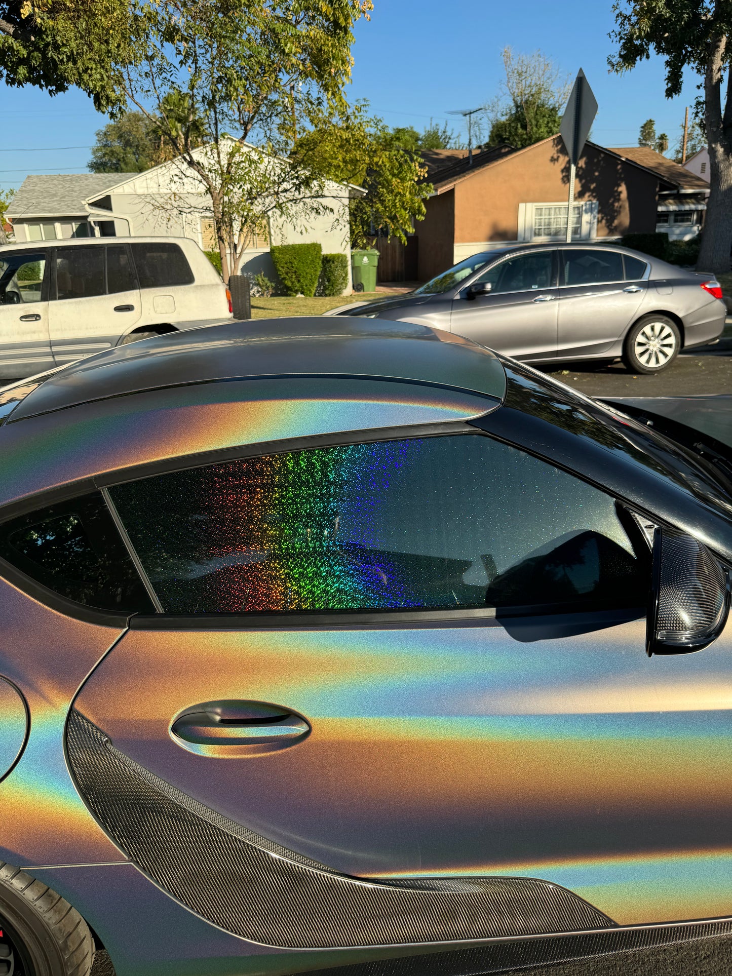 Stripper Glitter Holographic Tint