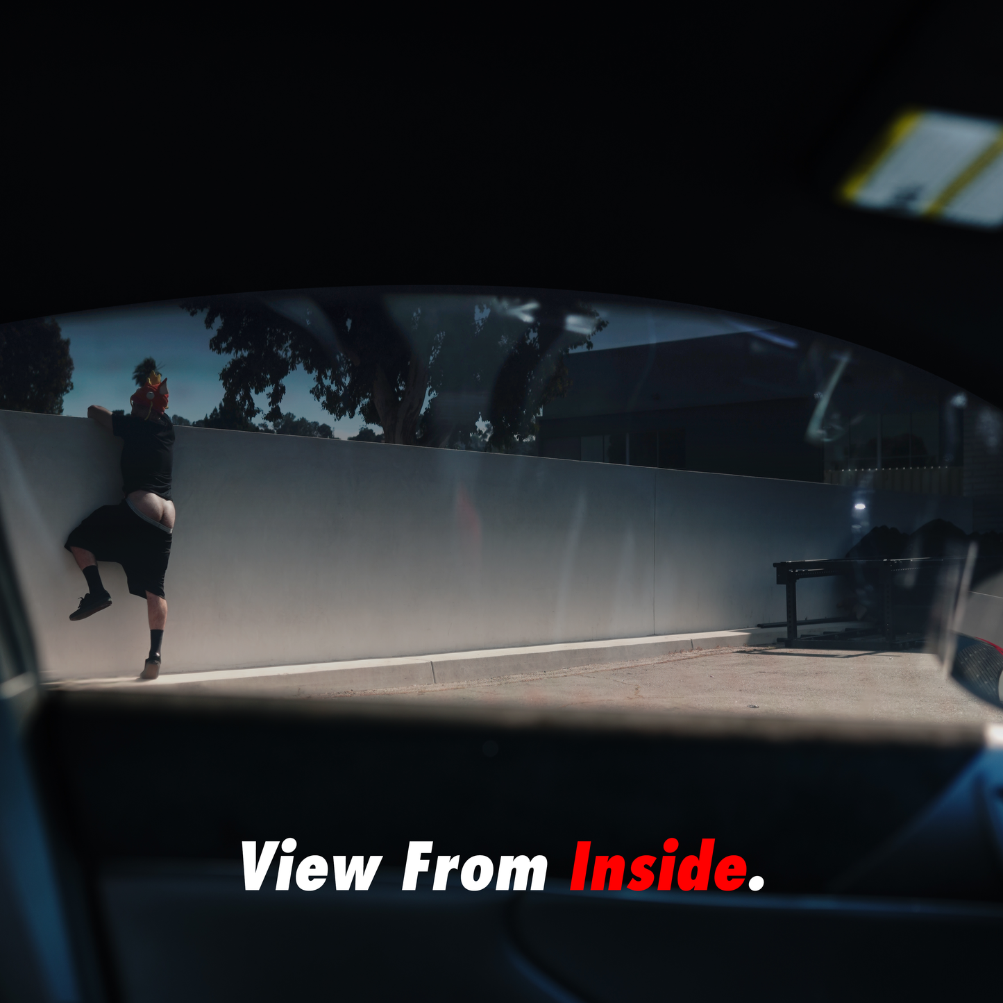 Black Chrome Mirror Tint